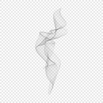 Smoke . Black isolated cigarette vapor. Steam transparent effect. Vapour on white background. eps illustration vector