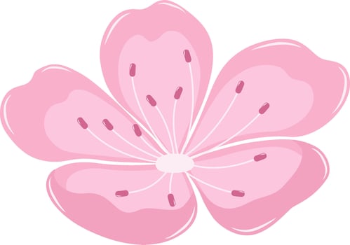Blooming Cherry Blossom Flower . Flat and Simple Pink Sakura. vector