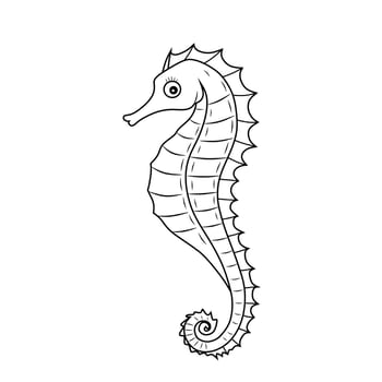 Elegant Line Art Sea Cucumber vector
