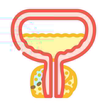 prostatectomy urology color icon illustration vector