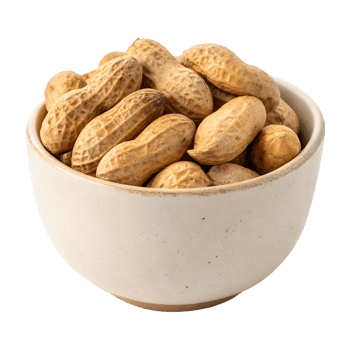 Bowl of Fresh Roasted Peanuts on Transparent Background. png