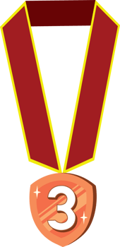 Bronze Reward Medal for Competition Winner png