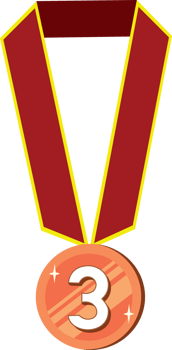Bronze Medal Award for Achievement and Recognition png