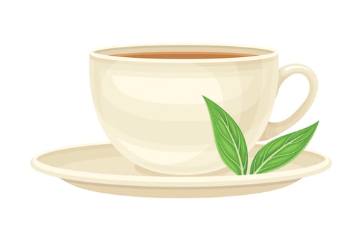 Tea Cup on Saucer with Hot Aromatic Beverage Poured with Boiling Water for Brewing Closeup Illustration vector