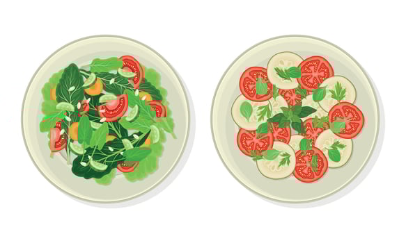 Salad of Green Vegetables and Sliced Tomato and Cucumber as Vegetarian Dish Above View Set vector