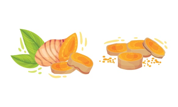 Sliced Turmeric Rhizome or Root and Green Leaf Set vector