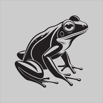 Amphibian Essence fog vector