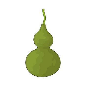vegetable named bottle gourd vector
