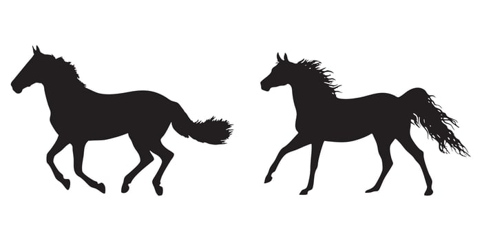 Silhouette of Two Galloping Horses Running vector