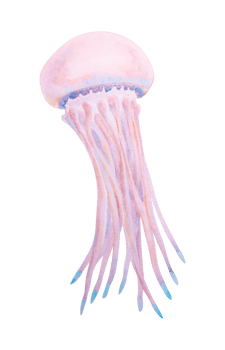 Watercolor illustration of a jellyfish with long tentacles, perfect for summer travel, diving adventures, marine-themed designs, tropical destinations, and underwater exploration concepts. png