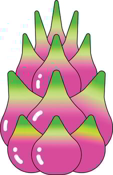 pitaya dragon fruit vectors