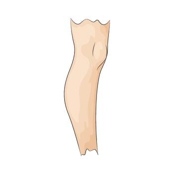 men's calves illustration vector