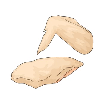 raw chicken wings vector