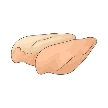 raw chicken brreast vector