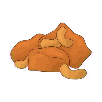 Chicken with cashew nut vector