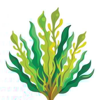 Kelp Clipart on white background vector