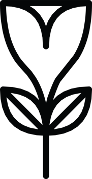 line art icon of a tulip flower. png