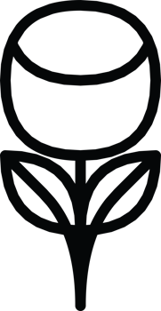 line art icon of a tulip flower, beautiful png