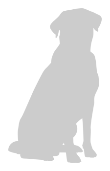 Silhouette of the Dog. Transparent Background png