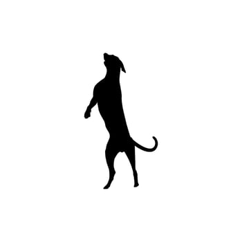Dog Silhouette, can use for Logo, Animal Illustration, Apps, Pictogram, Website, Sign, Poster, or Graphic Design Element. BW and Flat Style vector