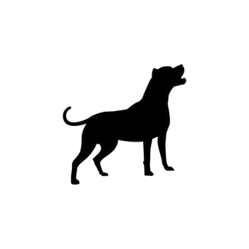 Silhouette,of the Dog. Flat and Black White vector