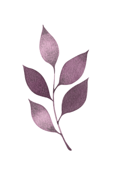 Watercolor purple twig with leaves. Hand drawn plant twig, botanical illustration. Lilac, purple, lavender color. png