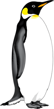 Iconic emperor bird with graceful penguin look. . png