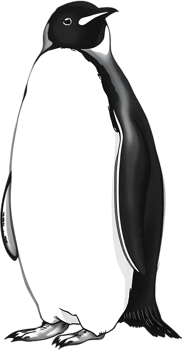 Noble cold-weather penguin in serene artwork. . png