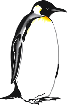 Bold emperor bird clipart with smooth posture. . png