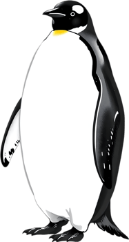 Arctic wildlife clipart with emperor penguin stance. . png