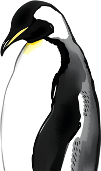 Noble bird in elegant emperor penguin portrait. . png