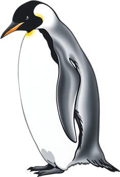 Refined emperor penguin in upright snowy position. . png