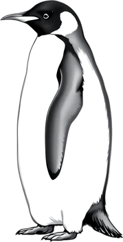 Emperor penguin with bold posture and icy aura. . png