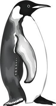 Elegant emperor penguin clipart with noble stance. . png