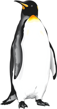 Majestic emperor penguin in elegant standing portrait. . png
