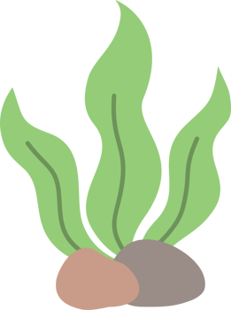 Green Algae And Rocks Illustration png