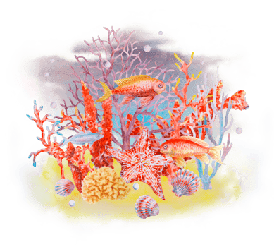 Underwater coral reef scene with colorful fish, starfish, corals, seashells, and bubbles. Watercolor illustration perfect for ocean-themed designs, marine education, travel and diving visuals. png