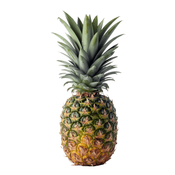 Fresh Whole Pineapple with Green Leaves Isolated on Transparent Background png
