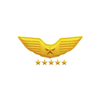 Golden pilot badge with star and five stars below symbolizes high rank and achievement in aviation. wings and stars convey prestige and excellence png