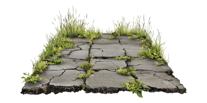 Cracked Pavement With Overgrown Grass Isolated On Transparent Background png