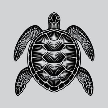 Detailed turtle Shell and Flippers Art Design vector