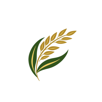 Golden wheat stalk with green leaves is depicted on transparent background, symbolizing agriculture and harvest. simple design conveys sense of growth and abundance png