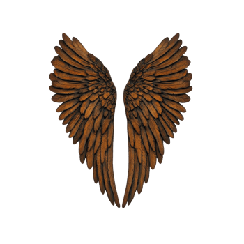 Brown angel wings with detailed feathers are symmetrically spread, evoking sense of freedom and grace. intricate texture and natural color create realistic and artistic impression png
