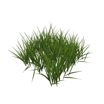 Lush, green grass patch with vibrant blades, perfect for landscaping or nature themed designs. grass appears fresh and healthy, ideal for adding natural touch png