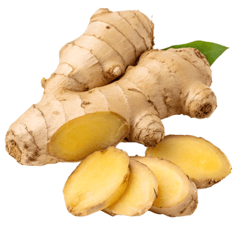 Fresh raw ginger root isolated on transparent background, natural spice with texture and details png