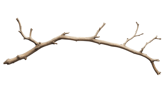 Rustic Wooden Branch Isolated at Transparent Background png