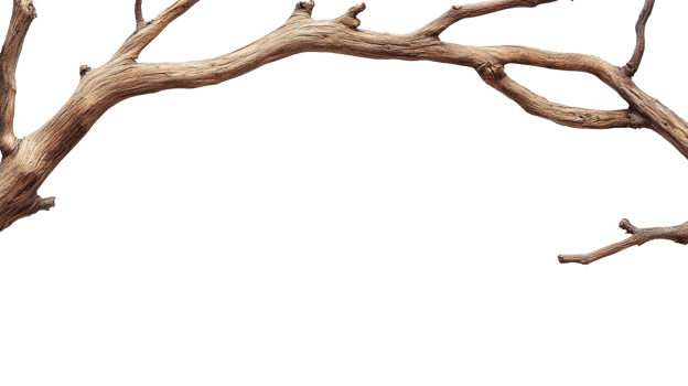 Rustic Wooden Branch Isolated on the Transparent Background png