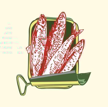 Sardines in Olive Oil Vintage Tin Can Illustration vector