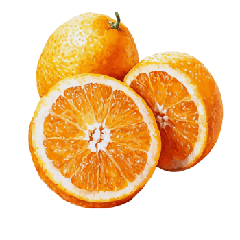 Sliced Oranges Showing Juicy Segments Refreshing Fruit png