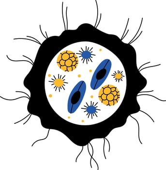 A drawing style illustration showing fungal structure vector